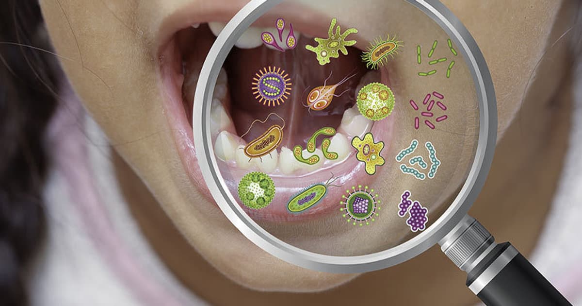 The Oral Microbiome: An Insight into the Unseen Ecosystem in Your Mouth
